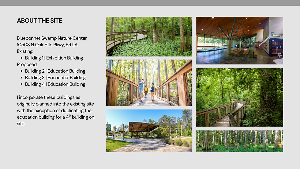 About the Site