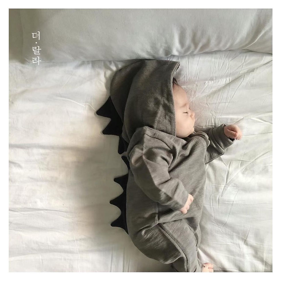 縮圖：Dinosaur🦖純棉拉鏈款連身衣