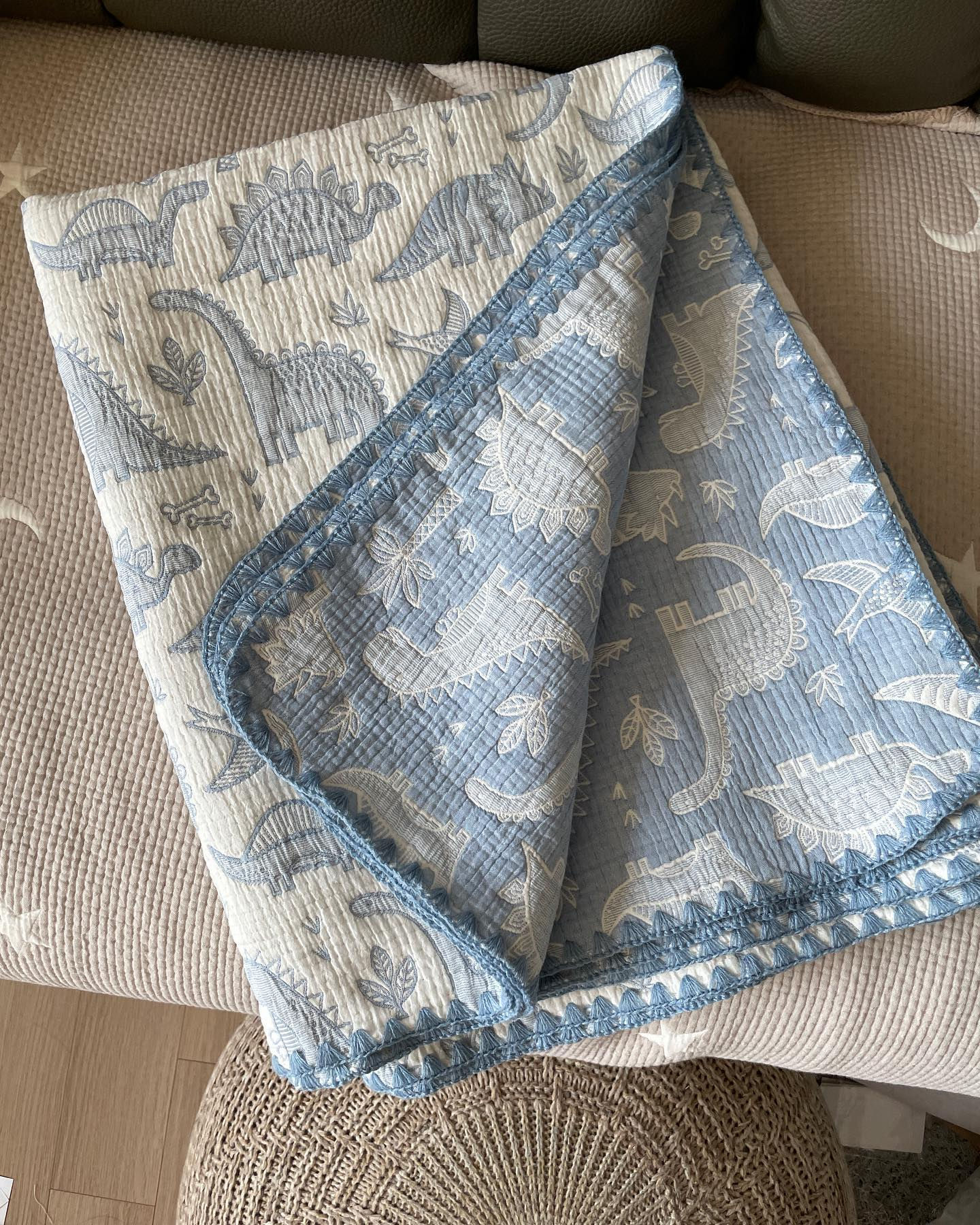 雙面刺繡✨🦕🦖恐龍滿印純棉被仔