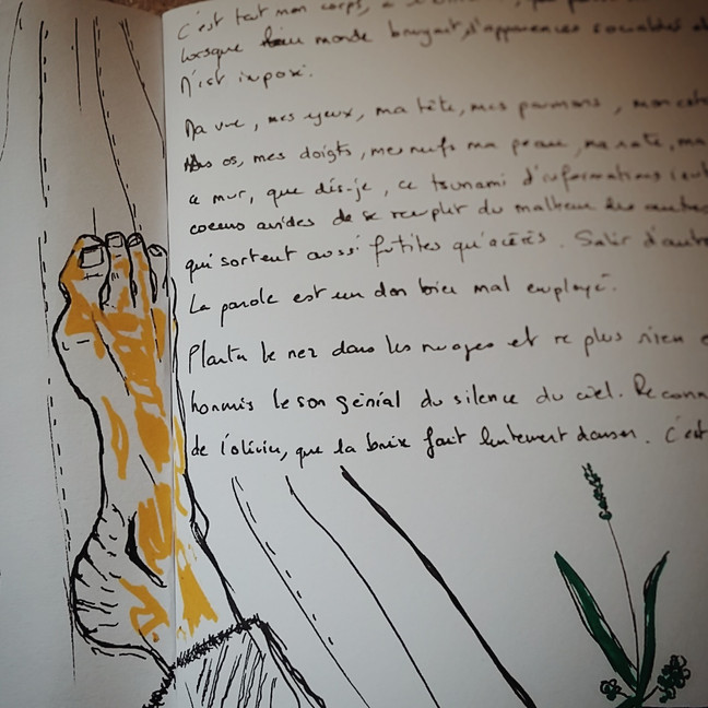 Le Si lance... et dort.