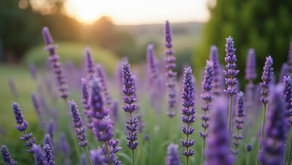 Best Plants to thrive in the heavy clay soils around Chard, Somerset