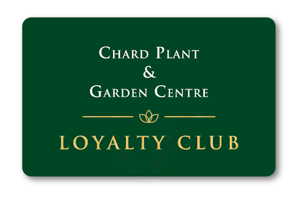 Front_loyalty_Card.gif