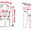 Thumbnail: 2025 New Purple Women's Hooded Jacket for Spring  Office Fashion Women Outerwear