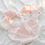 Thumbnail: 5Pcs/Set Cotton Underwear Cute Bow Girls Briefs Women's Panties Breathable Under