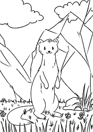 hermine.png