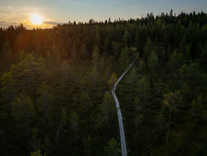 Syyttämättäjättämispäätös ja asianomistajan syyteoikeus Â