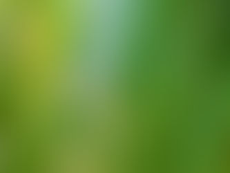 Alle 18-vuotiaan rikoksesta epäillyn vangitseminen edellyttää painavia syitä - KKO 2025:28