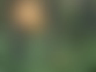 Osakeyhtiön varojen kanavointi lähipiiriyhtiölle