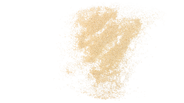 Untitled design (53).png