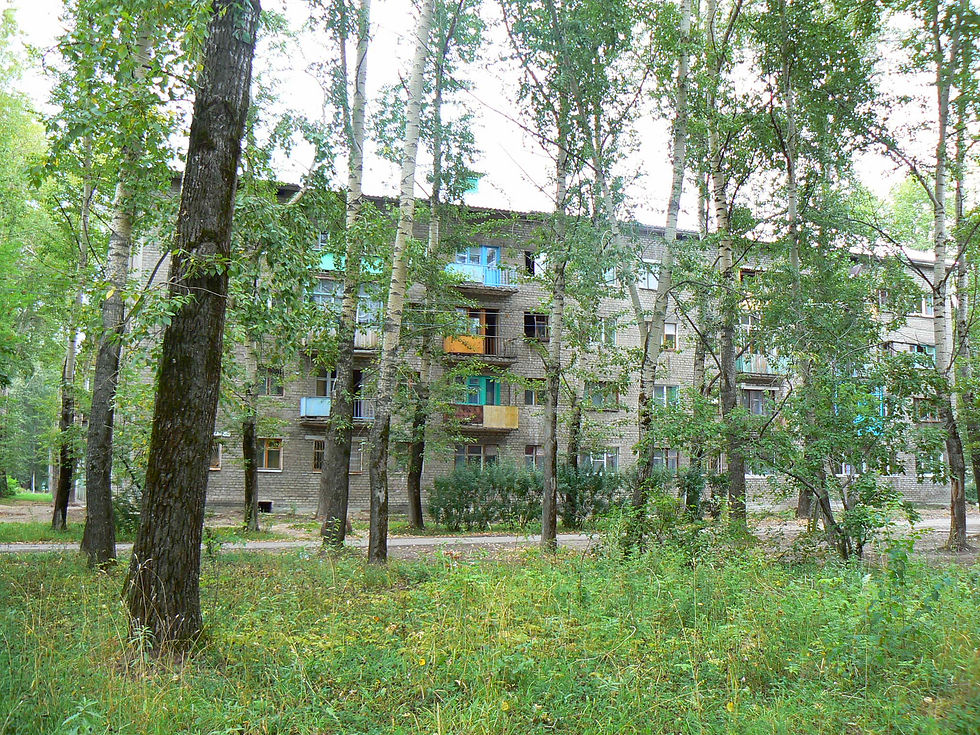 Safjana7-1