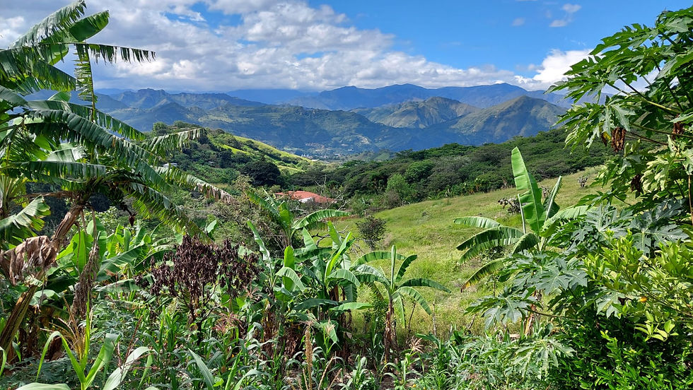 SAN FRANCISCO - MALACATOS