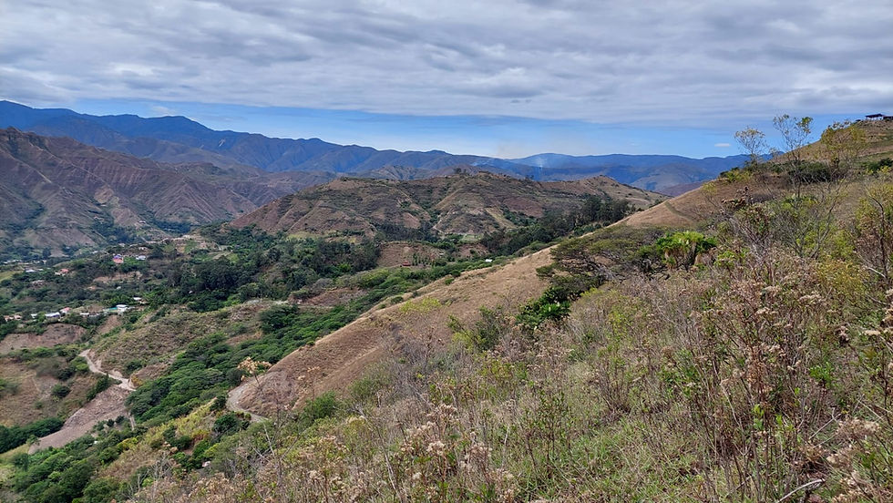 land with nice view for sale