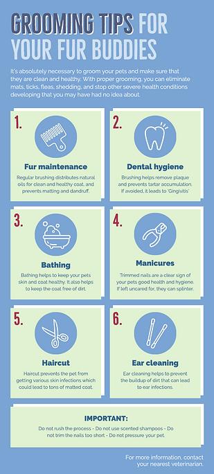 Grooming tips.png