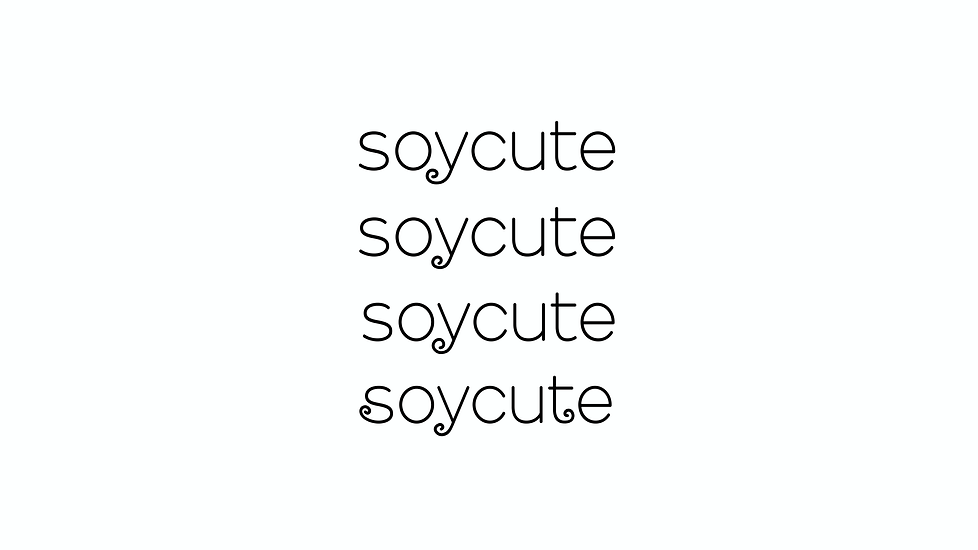 Soycute Documentation Final-29.png