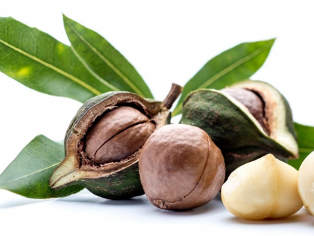 CCI Nuts Market Update: Macadamia