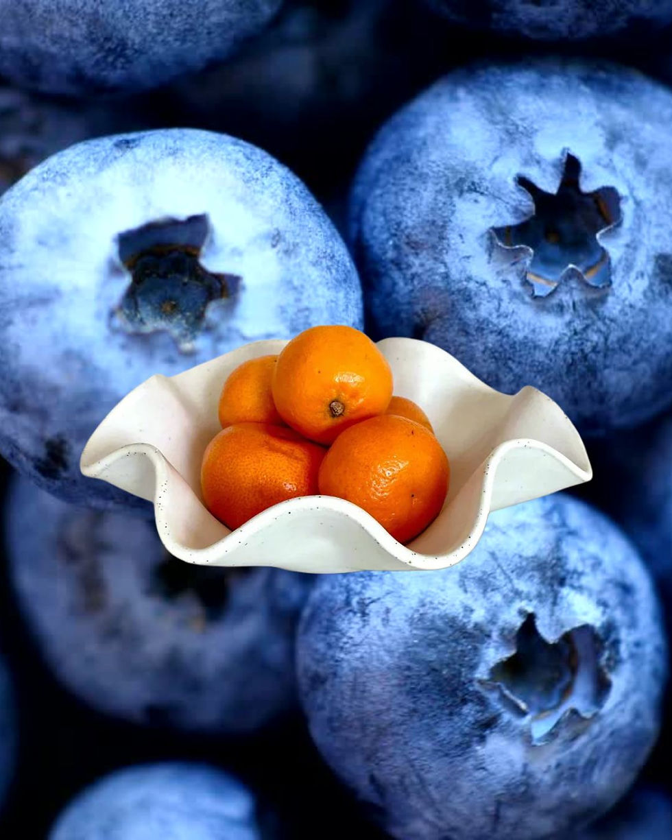 Fruit Bowl Workshop