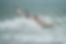 International Lifeguard Competition