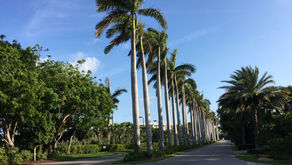 Ocean Reef GC, Key Largo