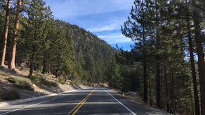 Thanksgiving road trip!