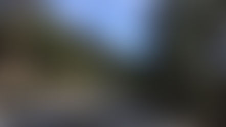 Thanksgiving road trip!