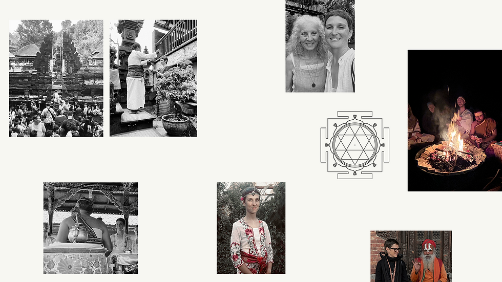 collage_about_v04.png