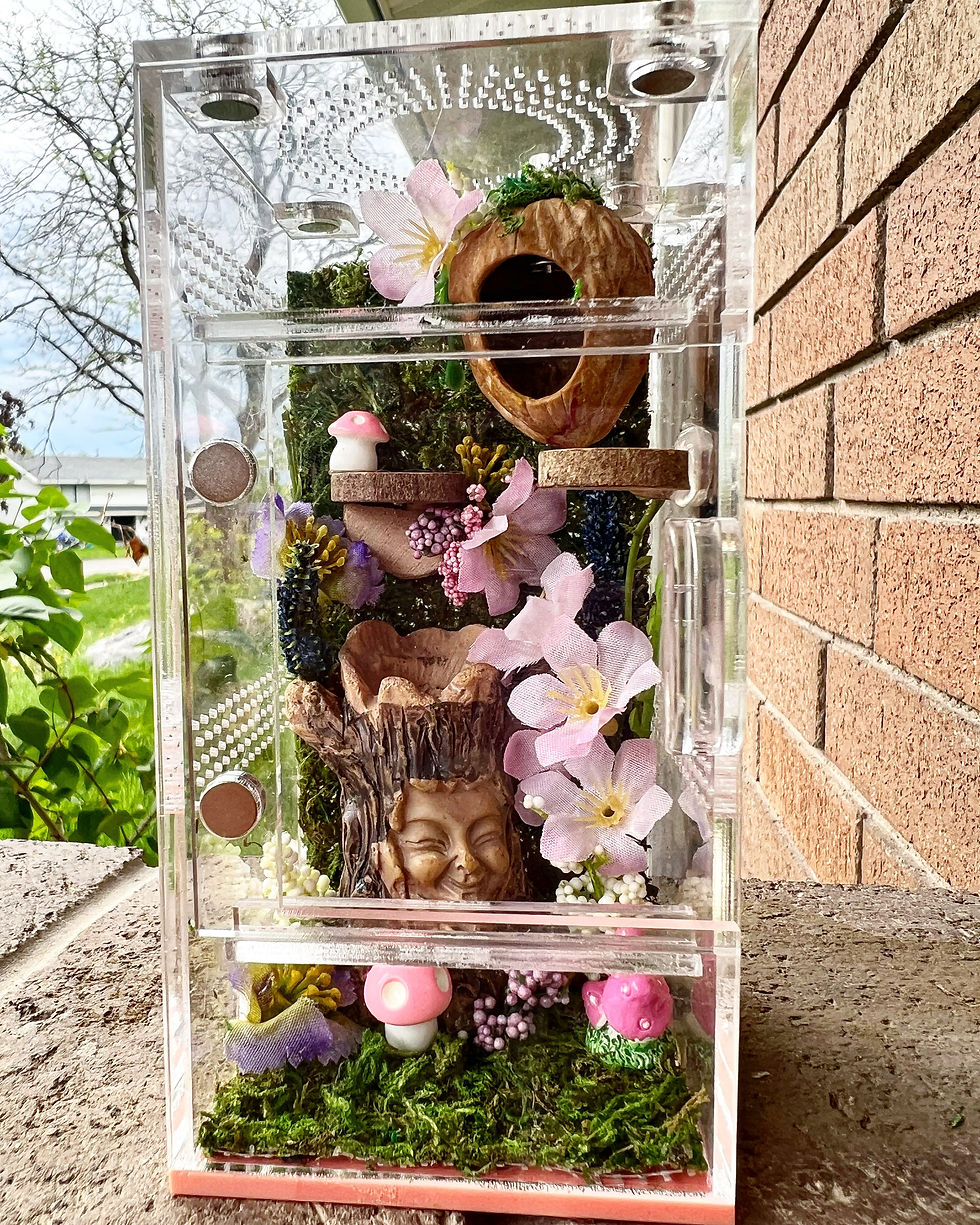 Thumbnail: 3x6 front opening enclosure