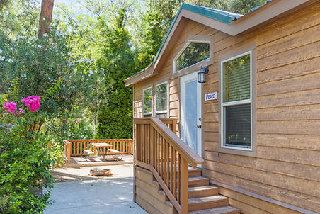 cozy and comfortable cabins