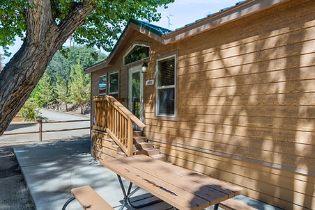 cozy and comfortable cabins