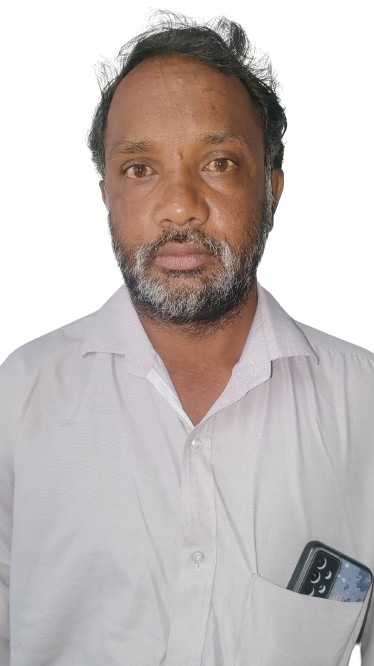 chawgule.png