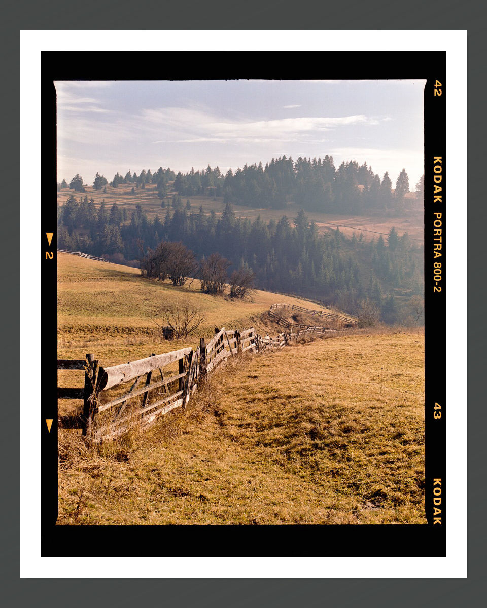 A photograph of a row of fences dividing up a landscape, with trees in the background
