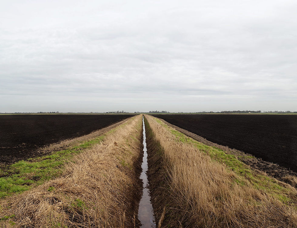 A photograph of an open farm land with a channel of water drawing a line in the middle