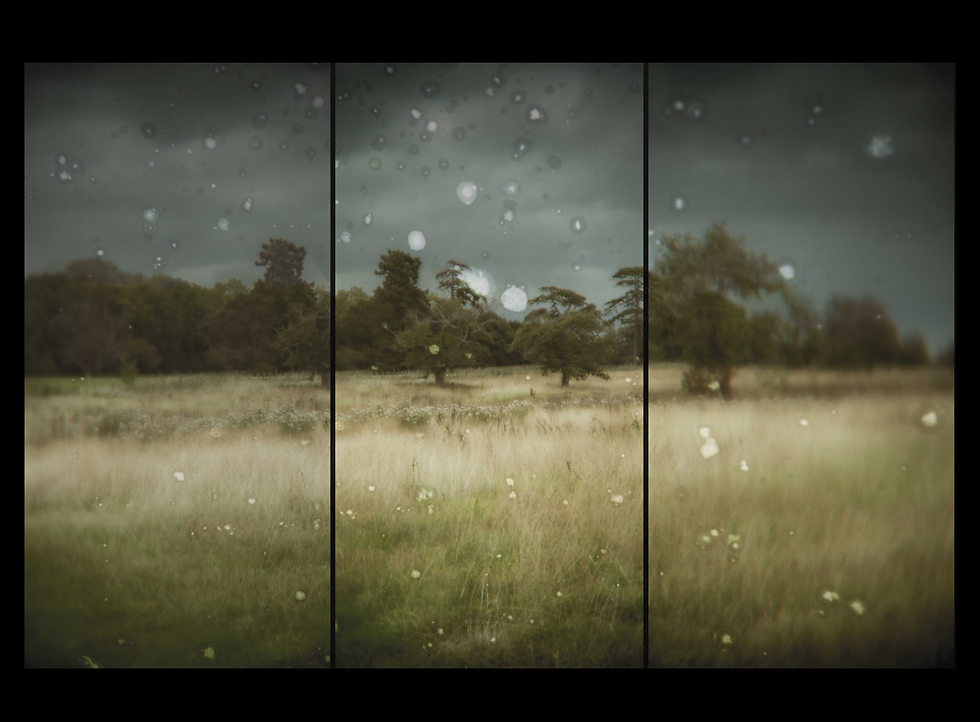 Triptych of a grassy field with trees under a cloudy sky.