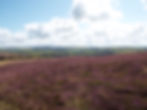 Exmoor National Park