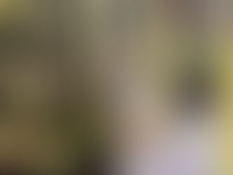 April is Earth Month - what does that mean?