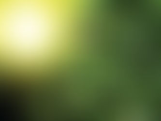 Design a Beautiful Blog