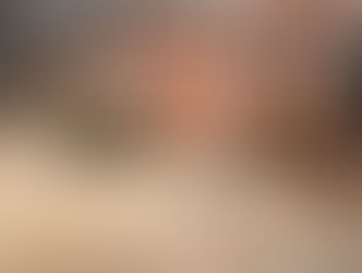 Flower Bed Renovation