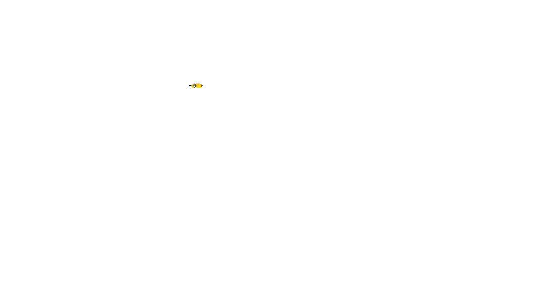 Cyclist
