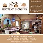 illustration epiciere avec un conseiller au téléphone