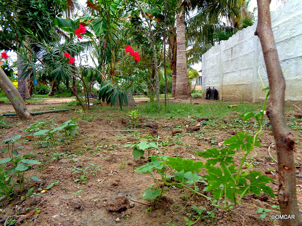 DSC05478