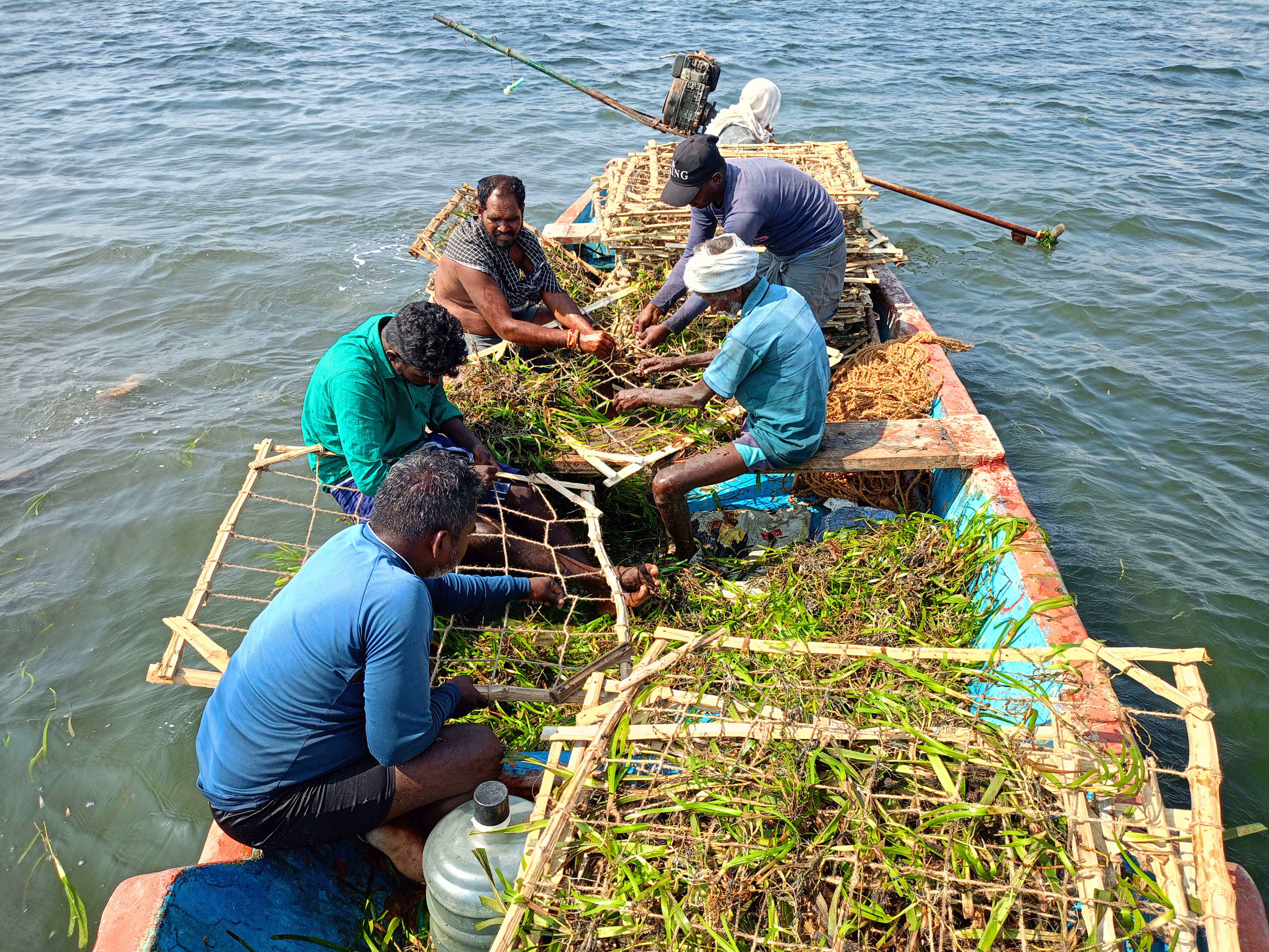 OMCAR’s field team preparing seagrass transplantation frames together on a boat.
