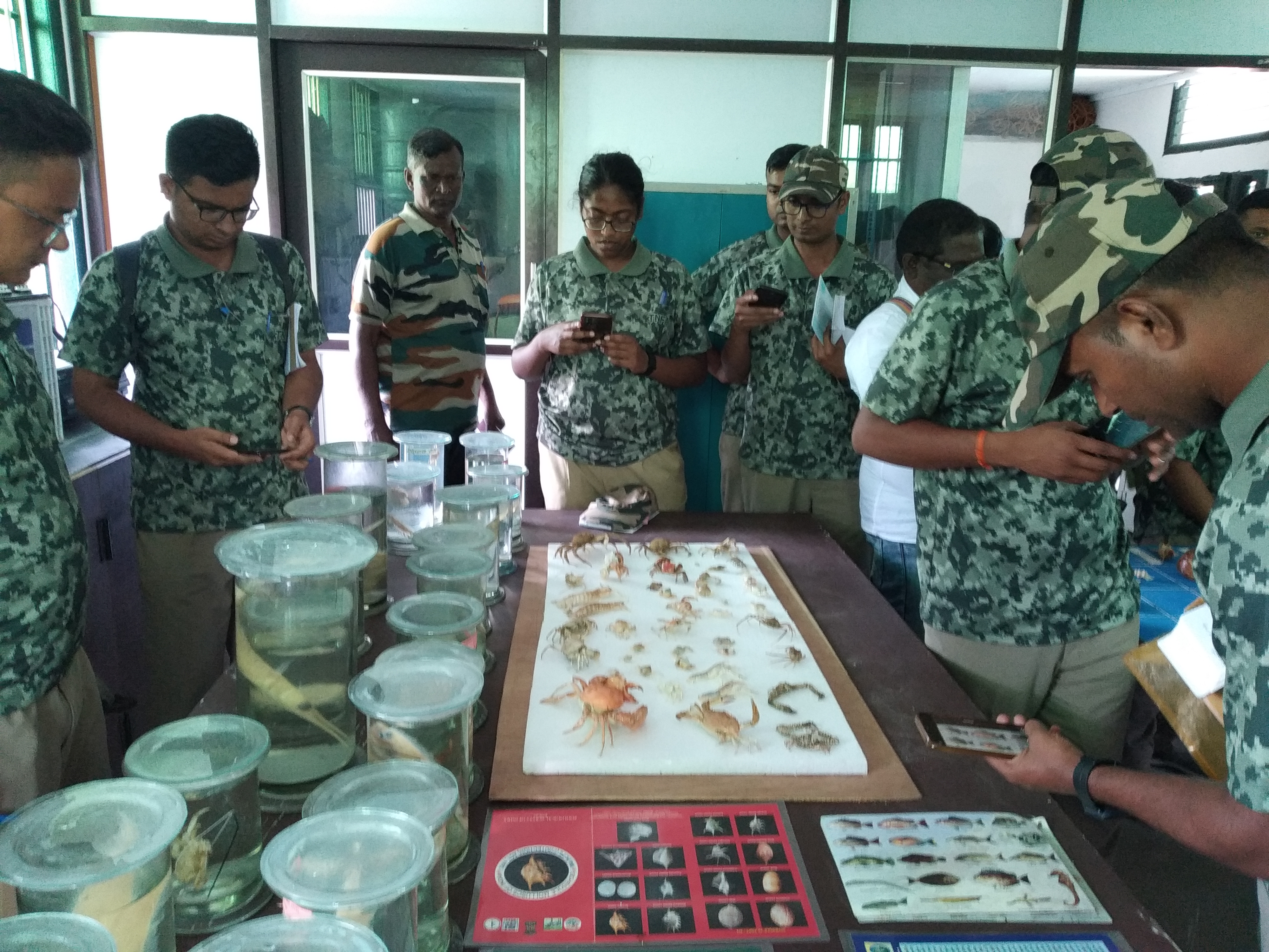 Forest personnel examining marine specimens during an OMCAR learning session.