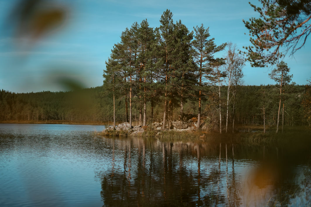 nature and cabin photography in the Swedish countryside
