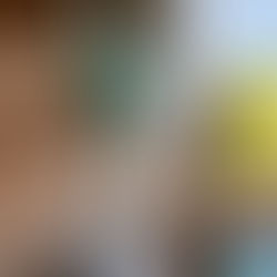 Cactus and Succulents Care