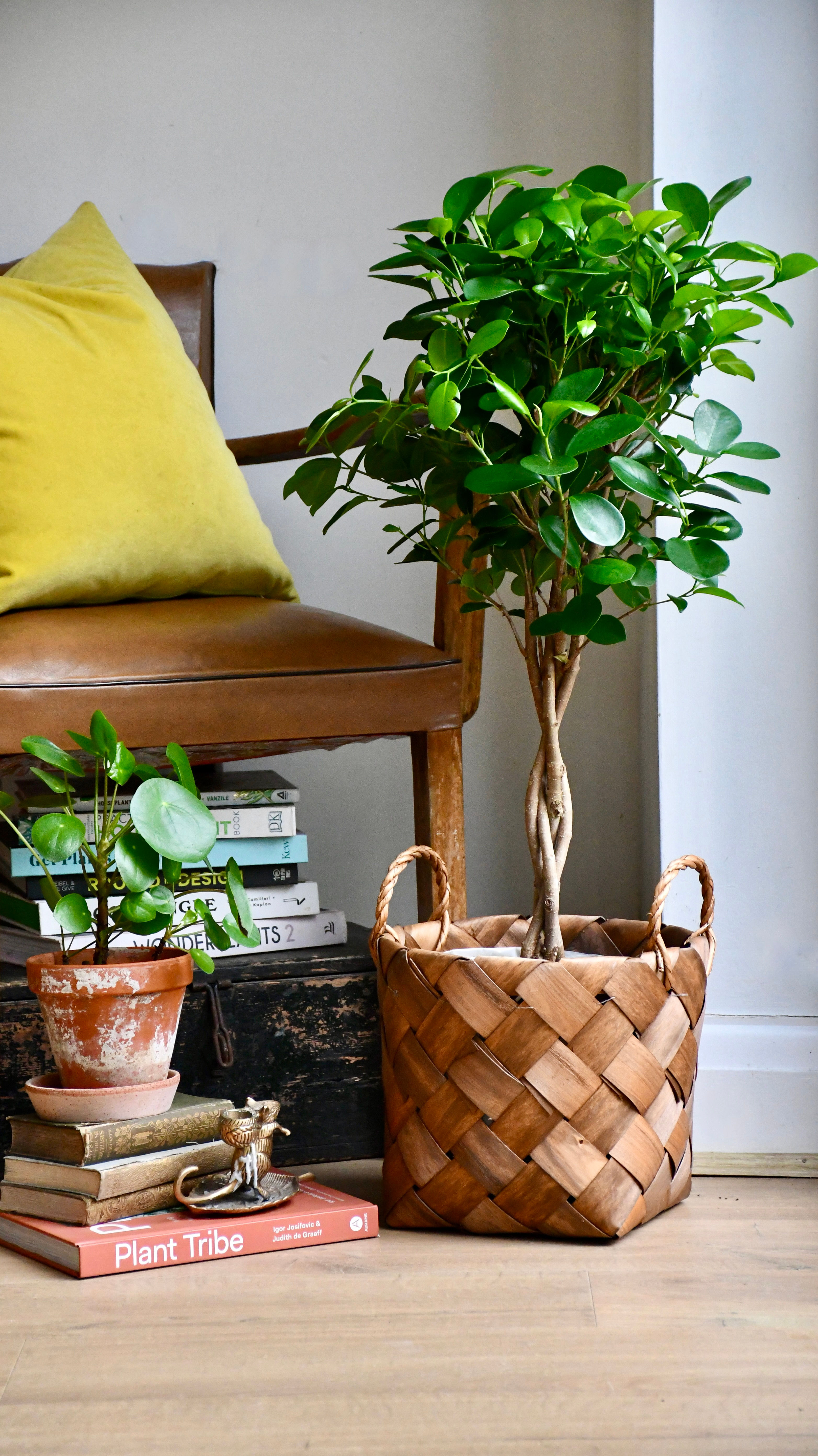 Natural Basket Planter - Brown 23cm