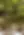 Garden chairs.webp