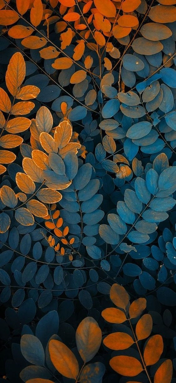 437894bbdda8d7d3b2d8385b92790b17_edited_edited.jpg
