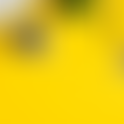 Leer meer is oop vir Gr 7 - 12 Wiskunde studente!