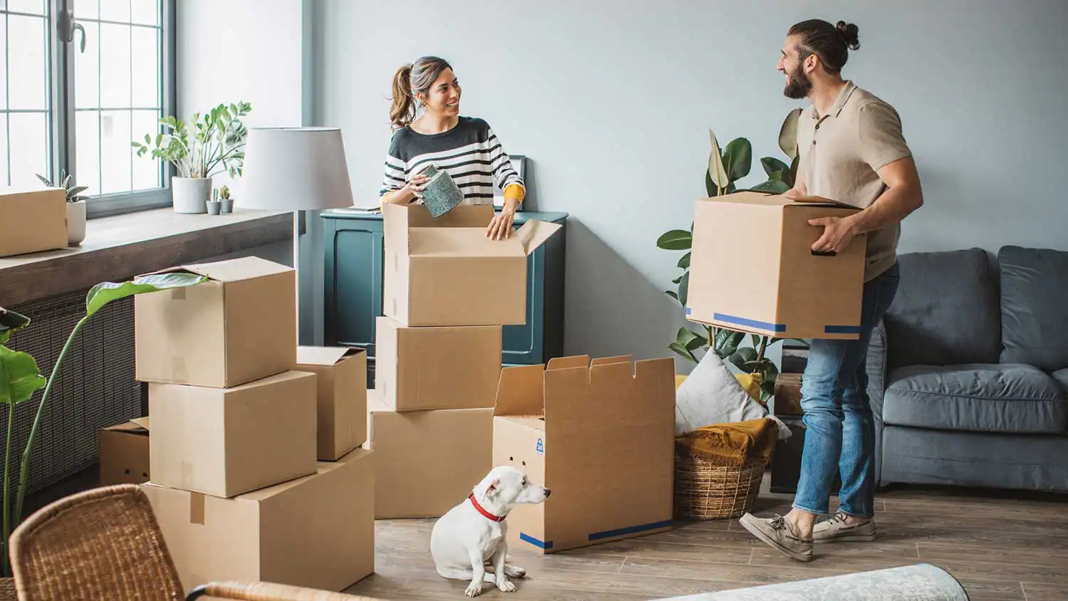 getting-ready-for-moving-day.webp