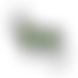 Özge Altay | Sara Özdemir