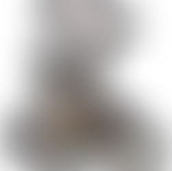 Ebrar Pamukçu | Melis Arpacı